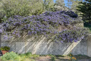 39074 Hedgegate Rd, The Sea Ranch, CA 95497 - Photo 41