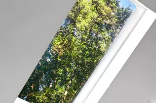 16 Iron Springs Rd, Fairfax, CA 94930 - Photo 9