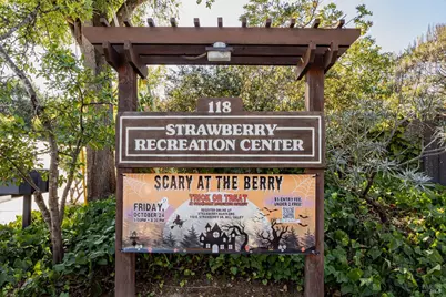 39 Strawberry Circle, Mill Valley, CA 94941 - Photo 77