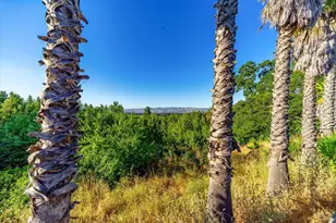 29 Forest Dr, Napa, CA 94558 - Photo 5