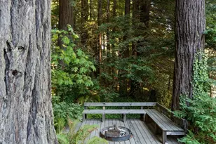 1050 Cazadero Hwy, Cazadero, CA 95421 - Photo 43