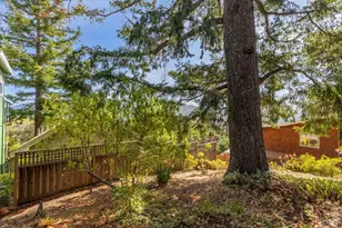 569 Sequoia Dr, San Anselmo, CA 94960 - Photo 27