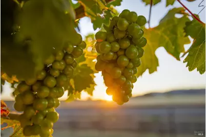 6476 Red Winery Road, Healdsburg, CA 95441 - Photo 59