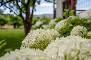 6476 Red Winery Rd, Healdsburg, CA 95441 - Photo 33