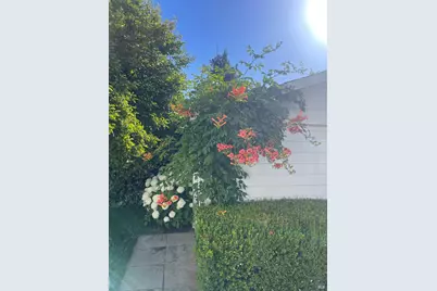 6476 Red Winery Road, Healdsburg, CA 95441 - Photo 45