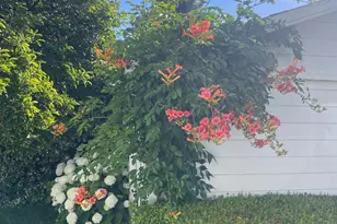 6476 Red Winery Rd, Healdsburg, CA 95441 - Photo 45