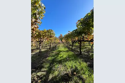 6476 Red Winery Road, Healdsburg, CA 95441 - Photo 57