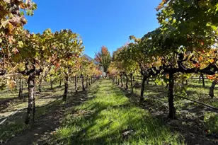 6476 Red Winery Rd, Healdsburg, CA 95441 - Photo 57