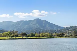 118 Eucalyptus Knoll St, Mill Valley, CA 94941 - Photo 29