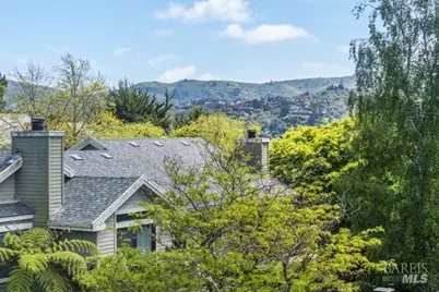 118 Eucalyptus Knoll Street, Mill Valley, CA 94941 - Photo 33