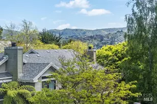118 Eucalyptus Knoll St, Mill Valley, CA 94941 - Photo 33