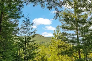 410 Monte Vista Ave, Mill Valley, CA 94941 - Photo 35