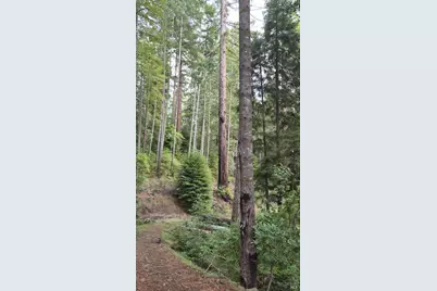 23606 Primrose Avenue, Willits, CA 95490 - Photo 27
