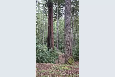 23606 Primrose Avenue, Willits, CA 95490 - Photo 23