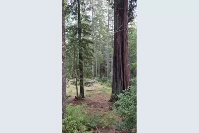 23606 Primrose Avenue, Willits, CA 95490 - Photo 25