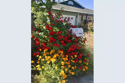 1911 Emerald Drive, Calistoga, CA 94515 - Photo 3