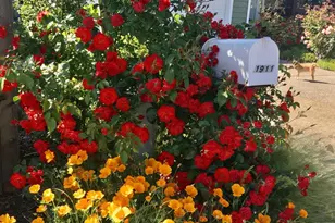 1911 Emerald Dr, Calistoga, CA 94515 - Photo 3