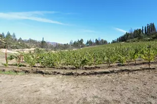 1755 Diamond Mountain Rd, Calistoga, CA 94515 - Photo 59