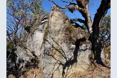 58921 George Washington Rock Road, Leggett, CA 95585 - Photo 7