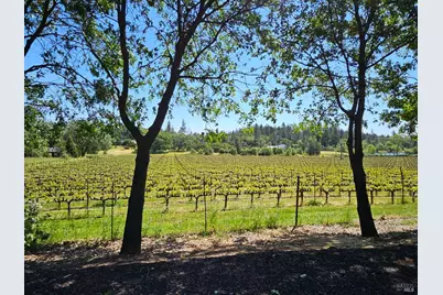 1275 Summit Lake Drive, Angwin, CA 94508 - Photo 5