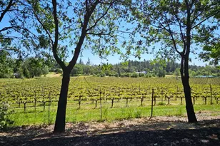 1275 Summit Lake Dr, Angwin, CA 94508 - Photo 5