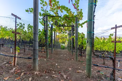 1125 Westview Drive, Napa, CA 94558 - Photo 33