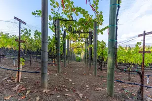 1125 Westview Dr, Napa, CA 94558 - Photo 33