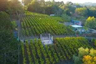 1125 Westview Dr, Napa, CA 94558 - Photo 35