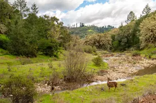 812 Leslie Creek Ln, Santa Rosa, CA 95404 - Photo 55
