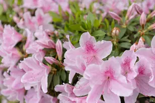 2431 Shoreline Dr, Napa, CA 94558 - Photo 45