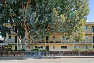 260 Merrydale Rd, San Rafael, CA 94903 - Photo 25