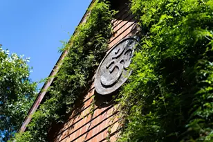 9935 Occidental Rd, Sebastopol, CA 95472 - Photo 49