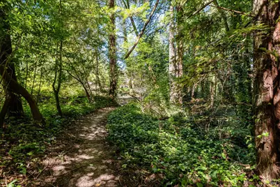 9935 Occidental Road, Sebastopol, CA 95472 - Photo 33