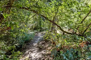 9935 Occidental Rd, Sebastopol, CA 95472 - Photo 33