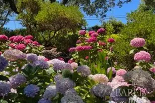 160 Crest Rd, Novato, CA 94945 - Photo 63