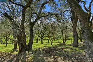 2087 First Ave, Napa, CA 94558 - Photo 9