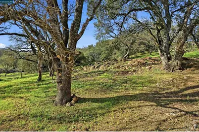 2087 1st Avenue, Napa, CA 94558 - Photo 23