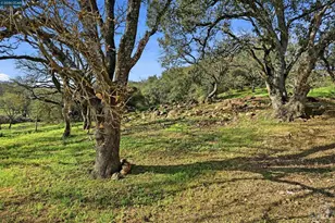 2087 First Ave, Napa, CA 94558 - Photo 23