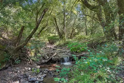 1500 Morningside Mtn Road, Glen Ellen, CA 95442 - Photo 79