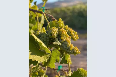 4144 Green Valley Road, Fairfield, CA 94534 - Photo 23