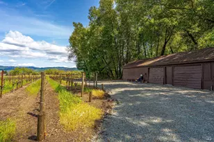 1626 Whitehall Ln, Saint Helena, CA 94574 - Photo 65