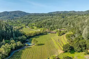 1626 Whitehall Ln, Saint Helena, CA 94574 - Photo 67