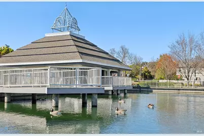 11 Gretchen Place, Greenbrae, CA 94904 - Photo 41