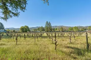 1143 Hudson Ave, Saint Helena, CA 94574 - Photo 29