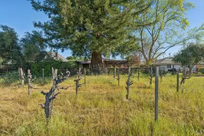 1143 Hudson Avenue, Saint Helena, CA 94574 - Photo 29