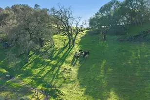 631 Casswall St, Napa, CA 94558 - Photo 57