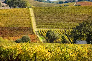 2399 Sobre Vista Rd, Sonoma, CA 95476 - Photo 57