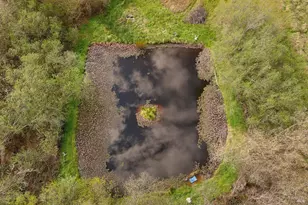 755 Watertrough Rd, Sebastopol, CA 95472 - Photo 9