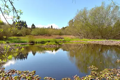 755 Watertrough Road, Sebastopol, CA 95472 - Photo 15