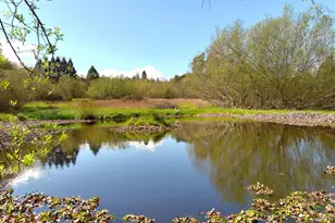 755 Watertrough Rd, Sebastopol, CA 95472 - Photo 15